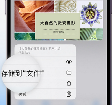 获嘉apple维修中心分享iPhone文件应用中存储和找到下载文件