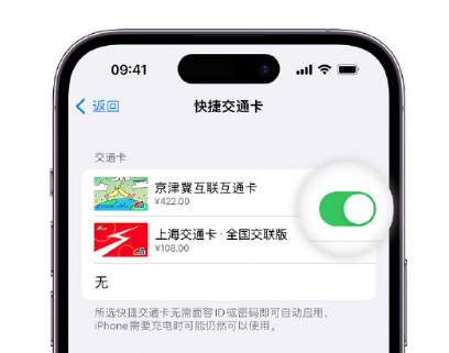 获嘉apple维修点分享iPhone上更换Apple Pay快捷交通卡手绘卡面 