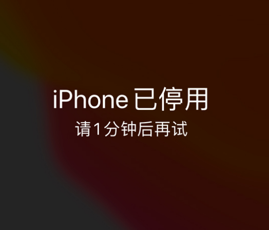 获嘉苹果手机维修分享:iPhone 显示“不可用”或“已停用”怎么办？还能保留数据吗？ 