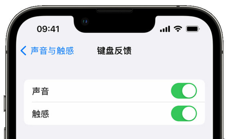 获嘉苹果手机维修分享iPhone 14触感键盘使用方法 