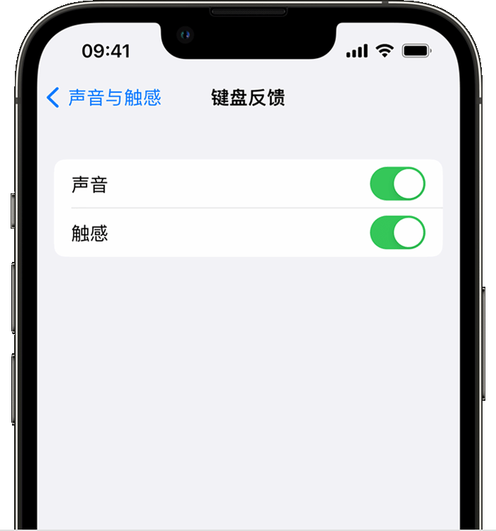 获嘉苹果14维修店分享如何在 iPhone 14 机型中使用触感键盘 