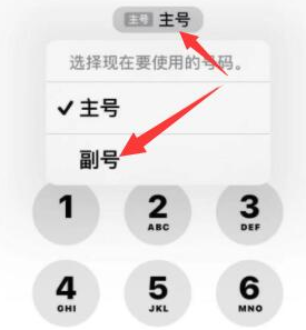 获嘉苹果14维修店分享iPhone 14 Pro Max使用副卡打电话的方法 