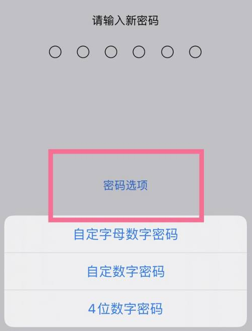 获嘉苹果14维修分享iPhone 14plus设置密码的方法 