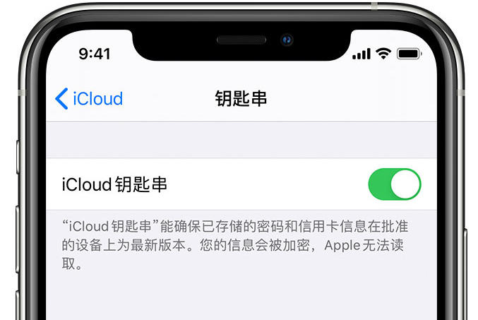 获嘉苹果手机维修分享在 iPhone 上开启 iCloud 钥匙串之后会储存哪些信息 